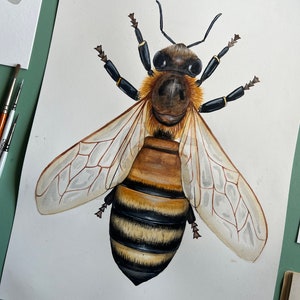 Original Honey Bee Watercolour Painting image 7