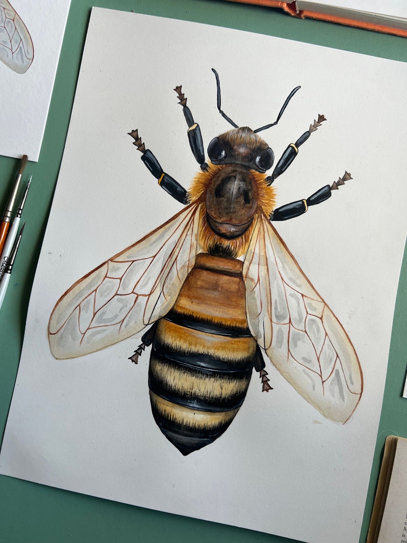 Original Honey Bee Watercolour Painting image 7