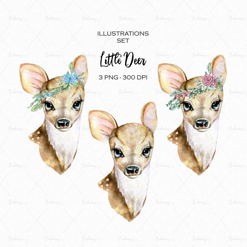 Magic Deer PNG Watercolor Forest Cute Little Deer Clipart Children Printables Sublimation Graphics Planner Stickers Digital Download