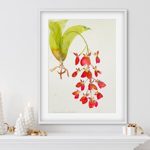 Botanical Art Print - Dendrobium Orchid - 8x10, 11x14, 16x20 Giclee Print