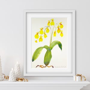 Botanical Art Print - Oncidium Orchid - 8x10, 11x14, 16x20 Giclee Print