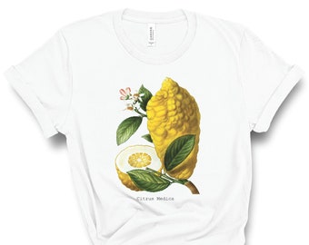 Lemon Illustration T-Shirt, Botanical Illustration, Lemon T-Shirt, Lemon Art, Fruit T-Shirt, Vegan T-Shirt, Citrus Limon, Vintage, Plus Size