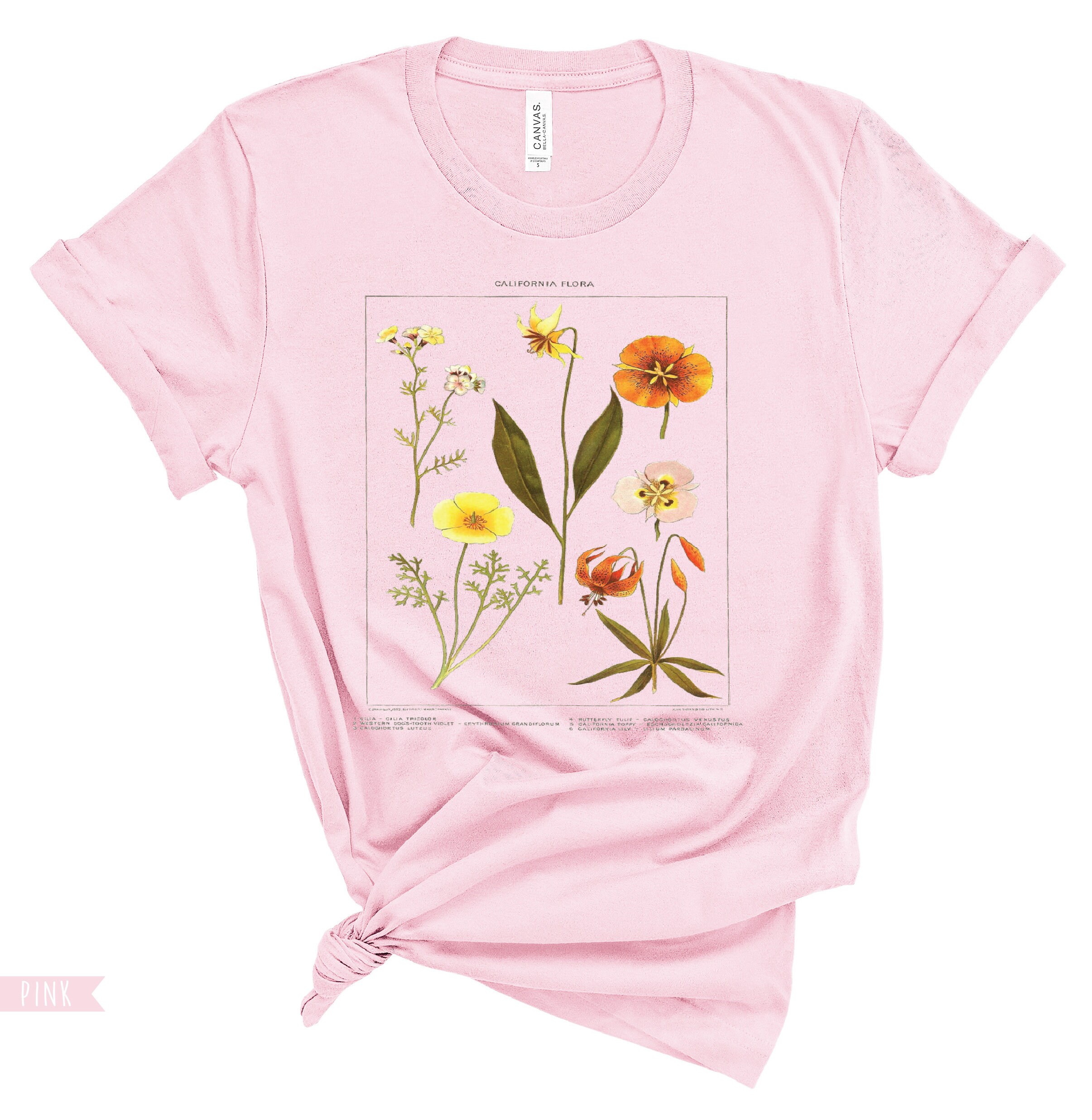 California Flora, California Wildflower, Floral Botanical