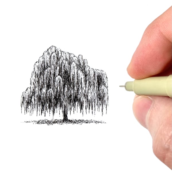 Willow Tree Art Print | Pen and Ink Tree Illustration | Nature Decor