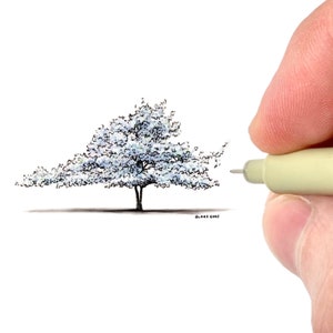 Virginia as a Dogwood Tree Art Print | Virginia State Tree Illustration | Miniature Artwork