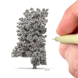 Mississippi as a Magnolia Tree Art Print | Mississippi State Tree Pen and Ink Illustration | Miniature Art