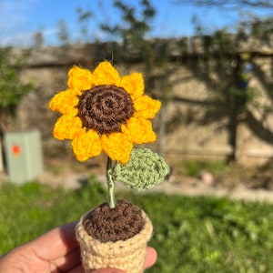 Crochet Amigurumi Sunflower, Mini Sunflower, Crochet Sunflower Pot, Decorative Desk Decor