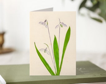 Snowdrops - January Birth Flower Greetings Card
