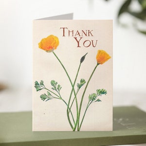 Thank You A6 Botanical Greetings Card Californian Poppy image 1