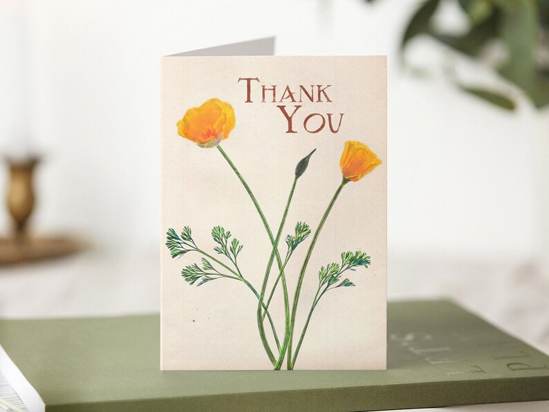 Thank You A6 Botanical Greetings Card Californian Poppy image 1