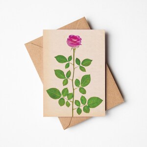 Pink Rose June Birth Flower Greetings Card image 2