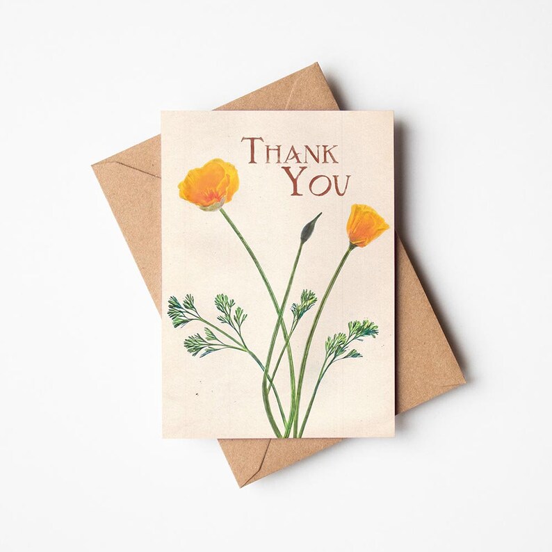 Thank You A6 Botanical Greetings Card Californian Poppy image 2