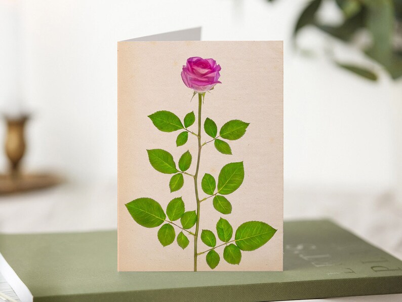 Pink Rose June Birth Flower Greetings Card image 1