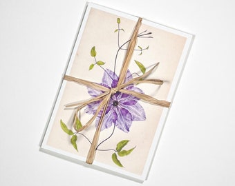 Timeless Botanicals Postcard Collection