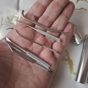 Può includere: Un set di quattro strumenti dentali in metallo color argento con impugnature testurizzate, che include varie punte curve e appuntite, accompagnato da una custodia cilindrica in metallo abbinata con coperchio a vite.