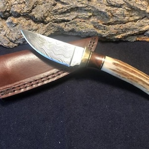7 1/2&quot; Handmade Damascus Skinning Knife w/ Deer Antler Handle with Walnut Spacer and Brass Bolster