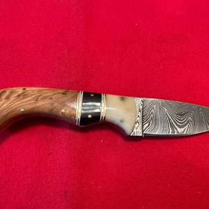 8” Handmade Damascus Full Tang Skinning Knife w/ Camel Bone, Bull Horn, & Maple Wood Handle