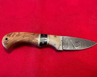 8” Handmade Damascus Full Tang Skinning Knife w/ Camel Bone, Bull Horn, & Maple Wood Handle
