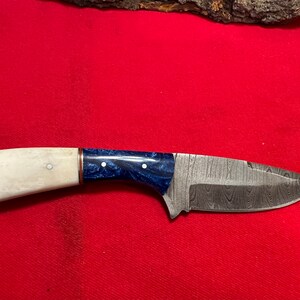 8 1/2” Handmade Damascus Full Tang Hunting Knife w/ Camel Bone and Blue Resin Handle
