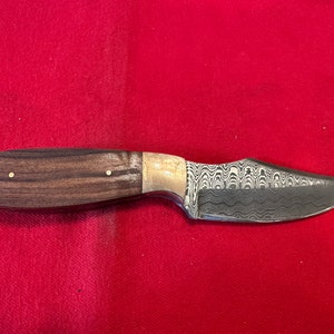 8 1/2” Handmade Damascus Full Tang Hunting Knife w/ Monterillo Rosewood Handle