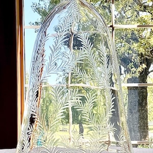 May include: A clear glass cloche with an etched fern leaf design. The cloche has a rounded top and a small handle. The background shows a window with a view of trees and sunlight.