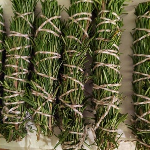 Rosemary herb bundles for meditation, burning and wafting, rituals, or meaningful practice image 1