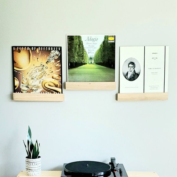 Record Shelf, Vinyl Record Wall Mounted Shelf, Vinyl Record Display