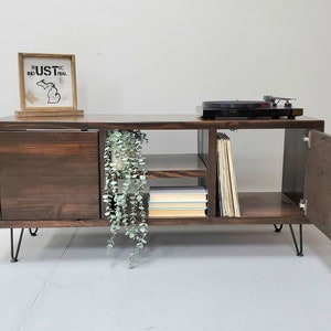 May include: A dark brown wooden record player stand with two doors, one open, and a shelf for records and books. The stand has hairpin legs and is decorated with a green plant.