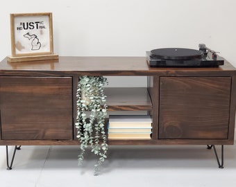 Record Stand with Vinyl Storage and Doors and Shelf
