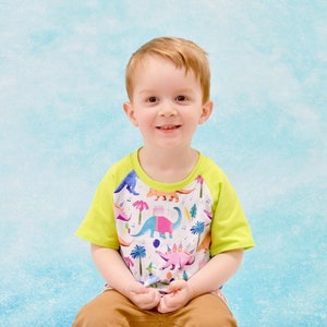 Birthday Dino Milk Silk Raglan