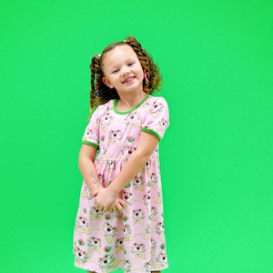 Pink Dog and Bone Short Sleeve Milk Silk Dress