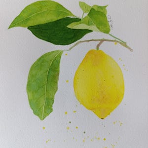 Lemon painting Original watercolor painting of Lemon branch
