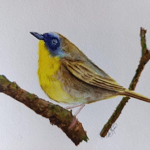 Bird painting Original watercolor painting of Common yellow throat