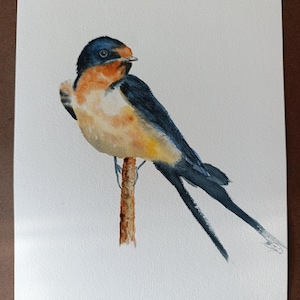 Barn Swallow Original watercolor painting