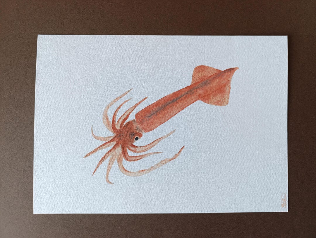 Squid Original Watercolor Painting - Etsy