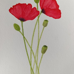 Poppies Original watercolor painting of Poppy flowers