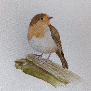 European Robin bird painting Original watercolor painting wall art