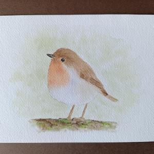 Robin bird Original watercolor painting