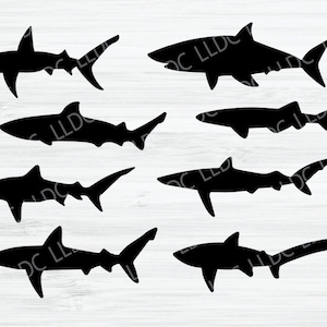Shark svg bundle, shark clipart, shark silhouette svg, hammerhead shark svg, great white shark svg, tiger shark svg, animal svg, ocean svg