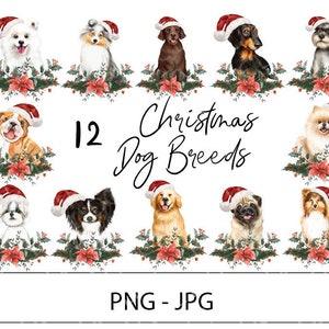 以下が含まれることがあります： サンタの帽子をかぶった12種類の犬種が、ヒイラギとポインセチアに囲まれています。「Christmas Dog Breeds」というテキストは、黒い筆記体で書かれています。「12」というテキストは、黒いサンセリフフォントで書かれています。「PNG - JPG」というテキストは、黒いサンセリフフォントで書かれています。