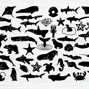 Under the sea svg bundle | Underwater svg bundle | Shark silhouette svg | Dolphin svg | Seahorse svg | Ocean svg | Marine life | Penguin svg