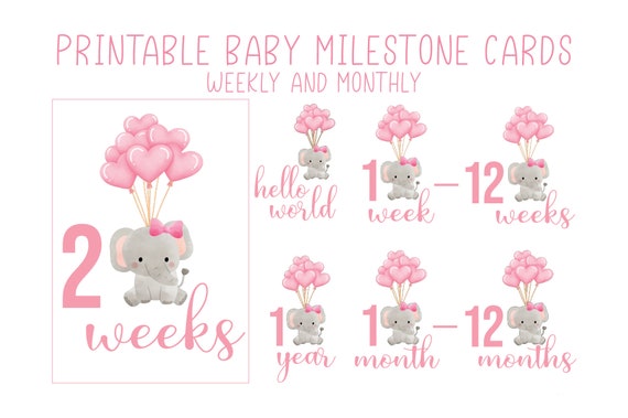 Printable Baby Girl Monthly and Weekly Milestone Card Png Files