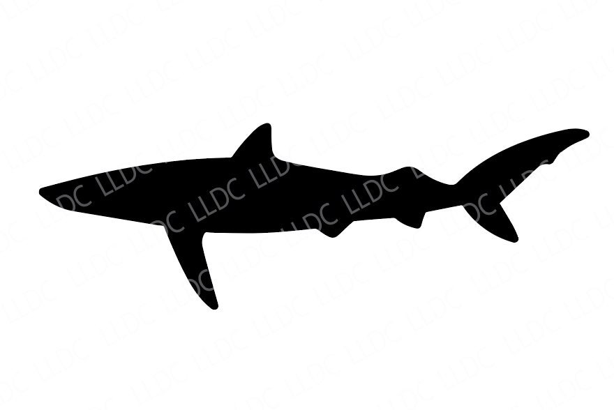 Hai svg Bündel, Hai Clipart, Hai Silhouette svg, Hammerhai svg, toller ...