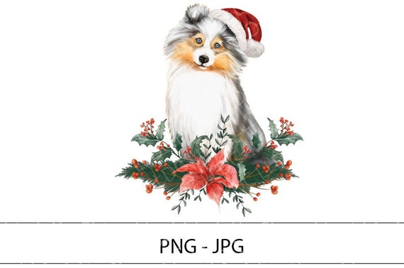 Weihnachten sheltie png/jpg. Weihnachten Hunde Clipart png, Hunde Bandana  png, Shetland Schferhund Sublimation, Sheltie Clipart, Puppy png. - Etsy  sterreich