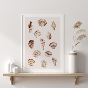 impression vintage de coquillages, aquarelles de coquillages, estampes bohèmes, art vintage, art côtier, estampes naturelles, décoration bohème, décoration murale, estampes de plage