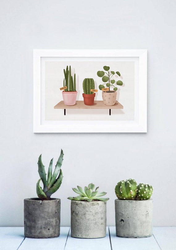 Plant Shelfie A5 A4 and A3 Art Print Homedecor Wall Art - Etsy