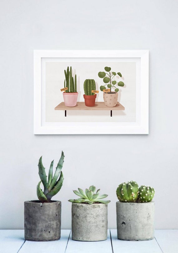 Pflanzenregal A5, A4 und A3 Kunstdruck, Wohndeko, Wandkunst, Kaktus, Regal,  Vase, Pflanze, botanischer Druck, Pflanzen - Etsy.de