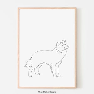 Border Collie Line Art - DOWNLOAD immediato