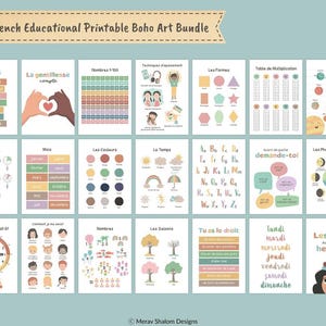 Set de 21 carteles educativos en francés, carteles pedagógicos para imprimir - AFFICHES DIGITALES