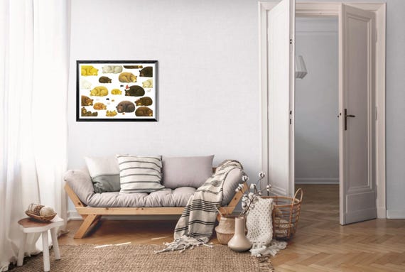 The Bear's Den | Rolled Poster